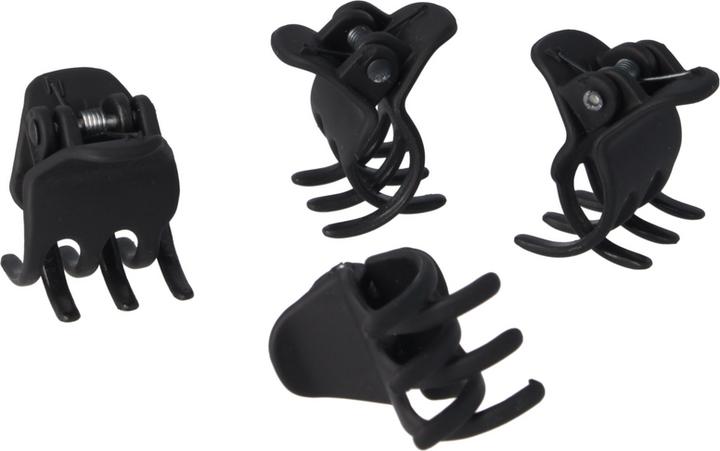 Image du produit Parsa Beauty Pince à cheveux (4 pcs)
