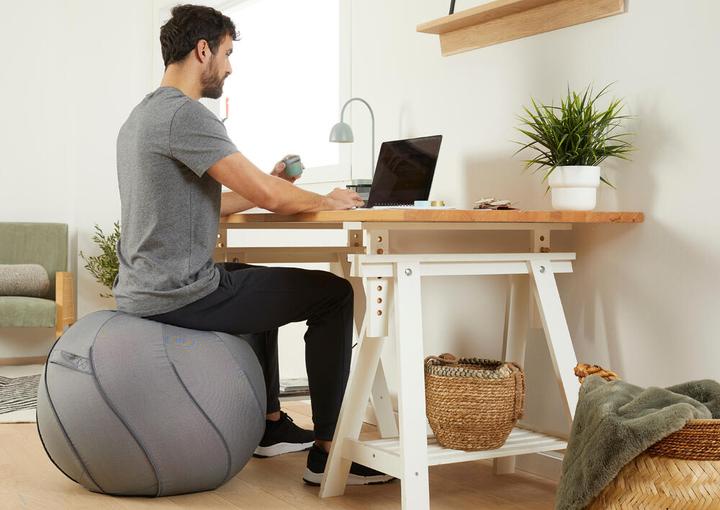 Image du produit Domyos SWISSBALL COVER MEDIUM 328586