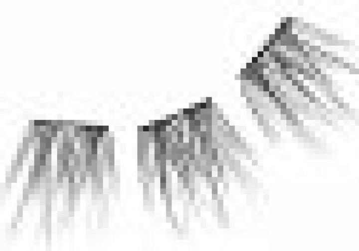 Actual product image KISS Lashes - Falscara Eyelash Wisp Multi 01