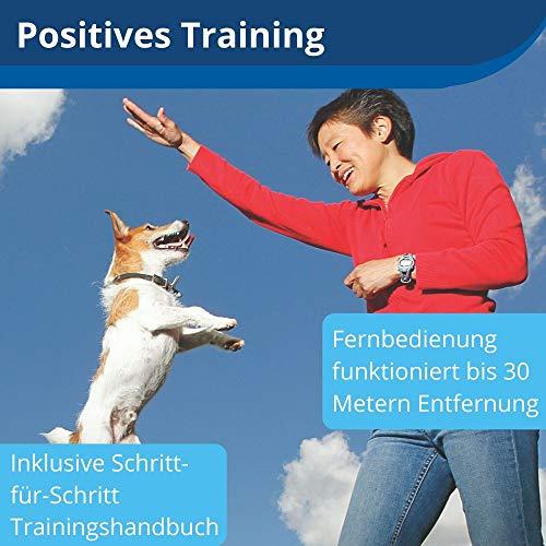 Produktbild PetSafe Treat and Train