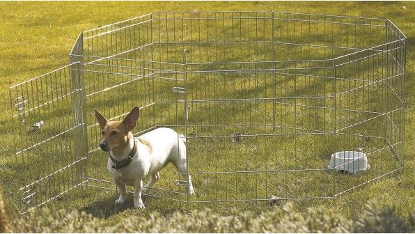 Image du produit Savic DOG PARK 1 61x61 cm, assorti (Chien)