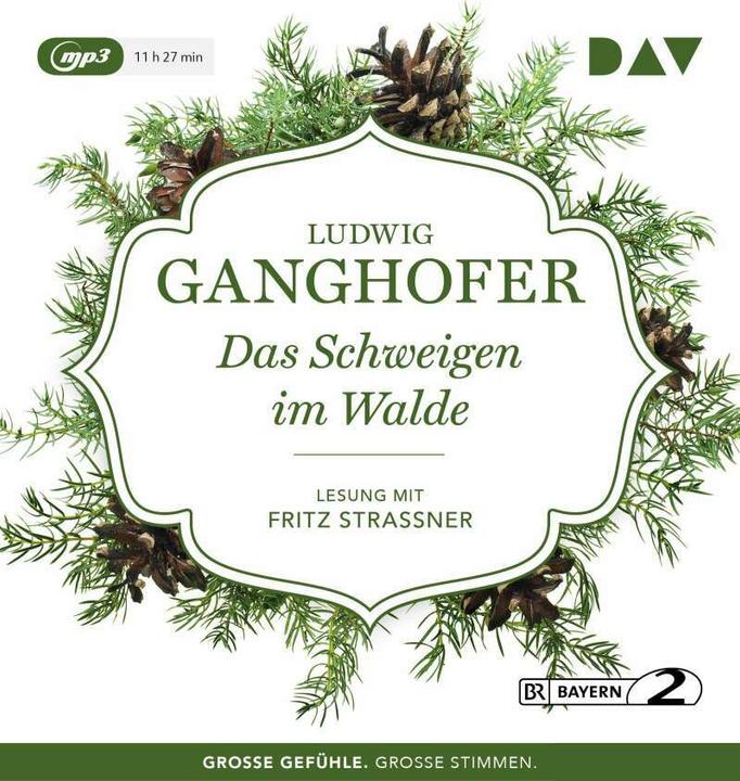 Produktbild Das Schweigen im Walde (Ludwig Ganghofer, Fritz Strassner, Deutsch)