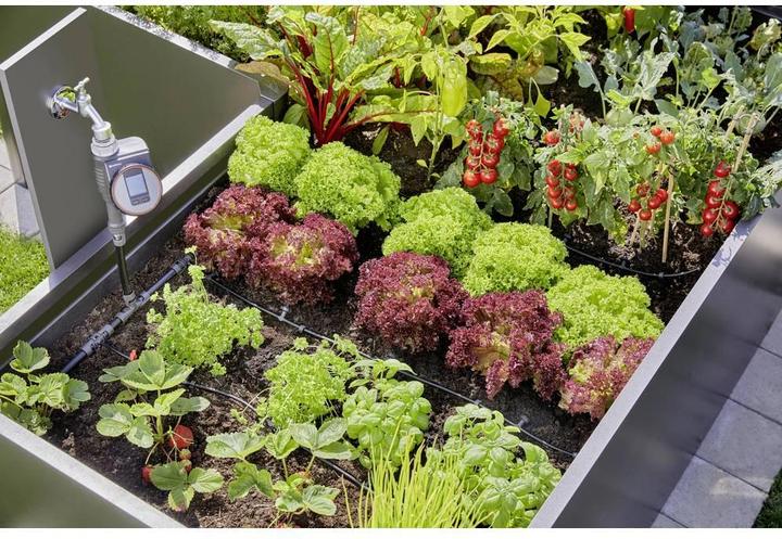 Produktbild Gardena Micro-Drip-System Set Hochbeet/Beet (Tropfbewässerung Set)