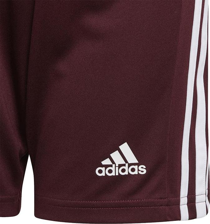 Image du produit adidas Squadra 21 Short Enfants (116)