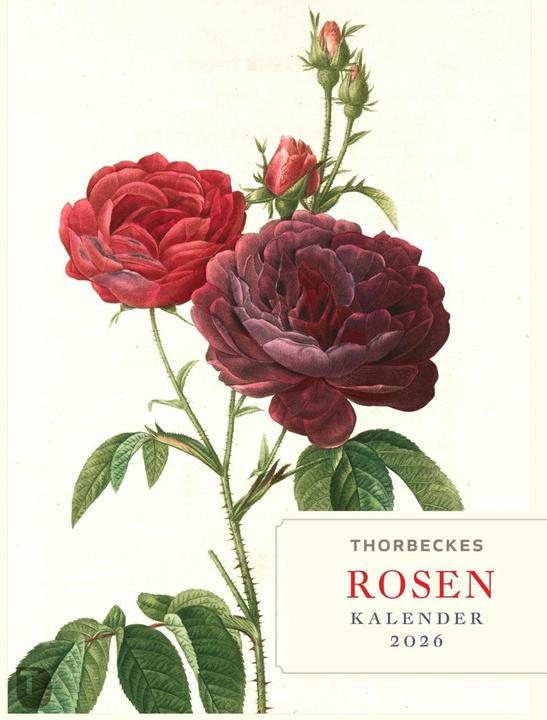 Thorbeckes Rosen-Kalender 2026 (24 x 32 cm, Hardcover, German)