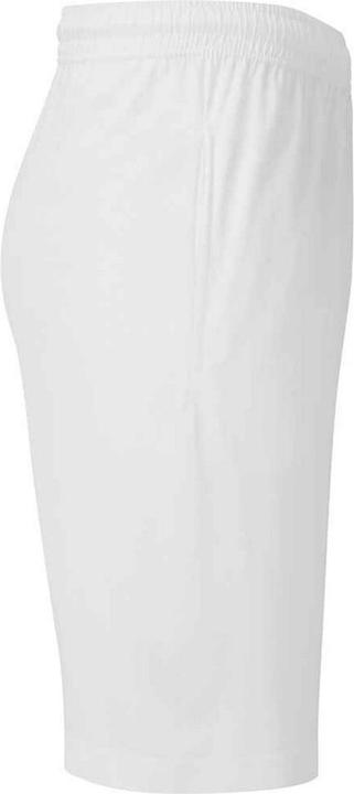 Actual product image Fruit of the Loom Mens Iconic 195 Jersey Shorts (L)