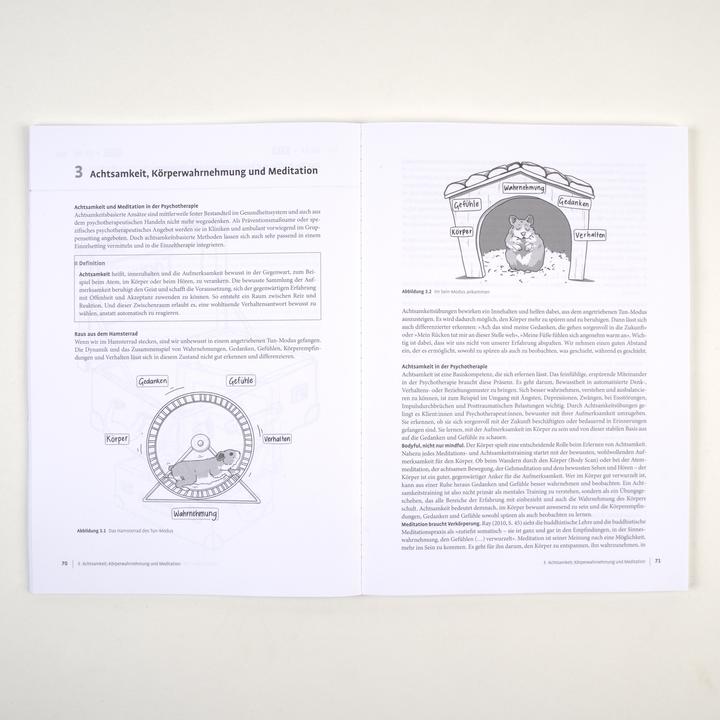 Produktbild Therapie-Tools Körperorientierte Interventionen (Deutsch, Ulrike Juchmann, 2025)