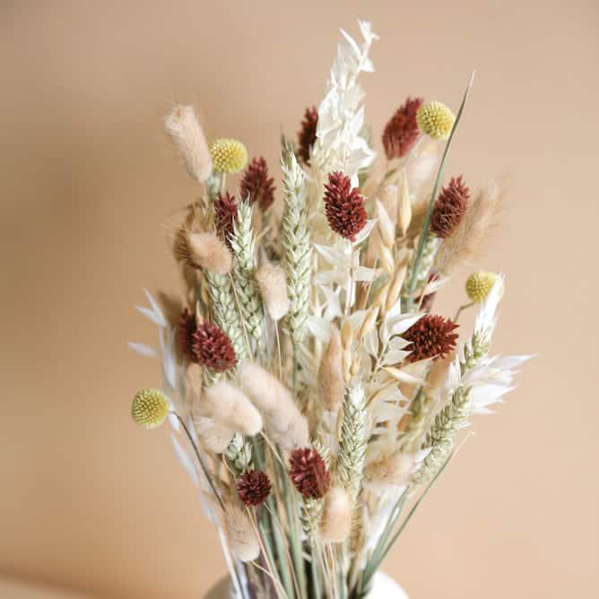 Immagine prodotto la fleur douce Fiori secchi Desert Flower (Fiori secchi)