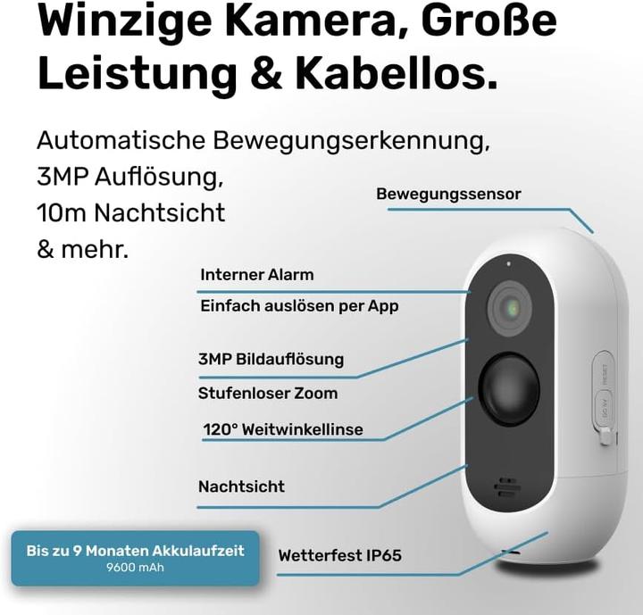 Actual product image PetTec 3-teiliges Hundekamera Set (2304 x 1296 Pixels)