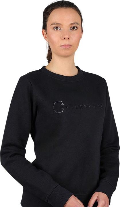 Produktbild Coldstream Earlston Pullover (L)