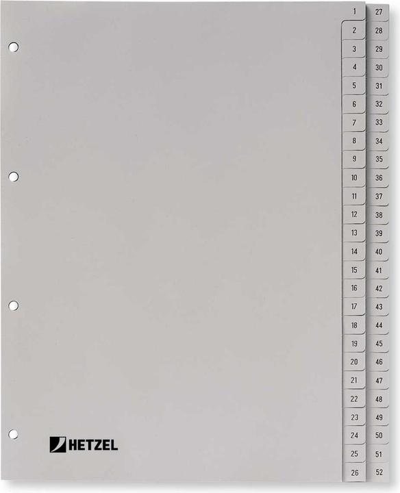 Rexel Registri in plastica HETZEL, numeri, A4, 1-52, PP, grigio 52 parti, 0,11 mm, punzonatura: 80-80-80