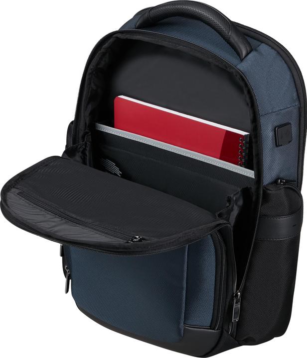 Actual product image Samsonite Pro-DLX 6 Backpack 15.6" (15 l)