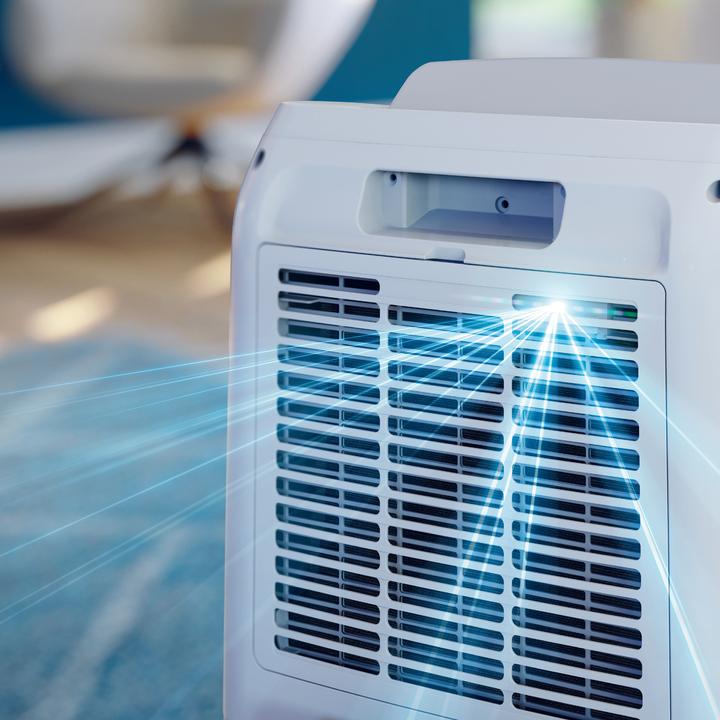 Actual product image Philips DE3306/11 (60 m², 34.30 l/24h)