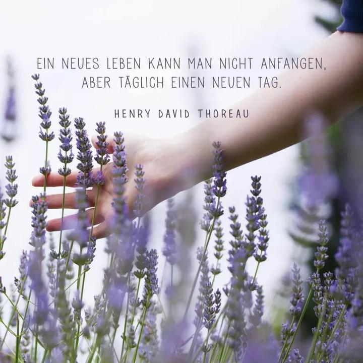 Produktbild Achtsamkeit für dich. Kleine Auszeiten fürs Büro (Harter Einband, Deutsch)
