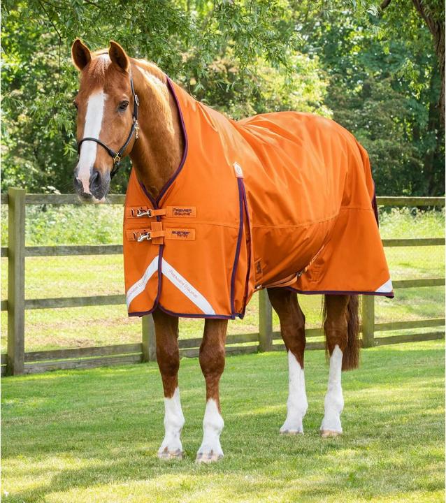Premier Equine Buster Hardy 200 g