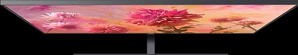 Produktbild Samsung Qe55q9fn (55", LCD, 4K, 2018)