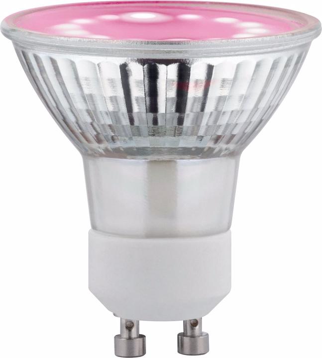 Produktbild Paulmann Pflanzenlampe (GU10, 3.50 W, 65 lm, 1 x, B)