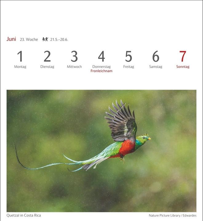 Produktbild Harenberg Farben der Natur Postkartenkalender 2026 - Wochenkalender mit 53 Postkarten (Harter Einband, Deutsch)
