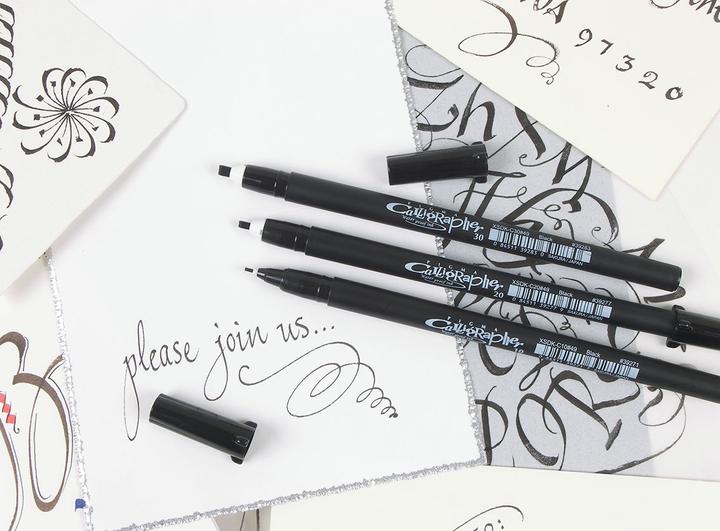 Actual product image Sakura Pigma Calligrapher (Black, 3 x)