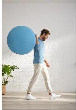 Image du produit Leitz Ballon-siège Ergo Cosy Active (65 cm)