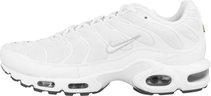 Nike Air Max Plus (45)