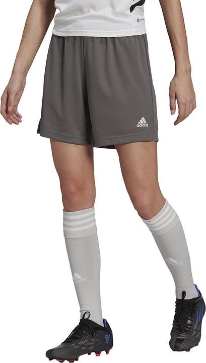 Actual product image adidas Entrada 22 Shorts (S)