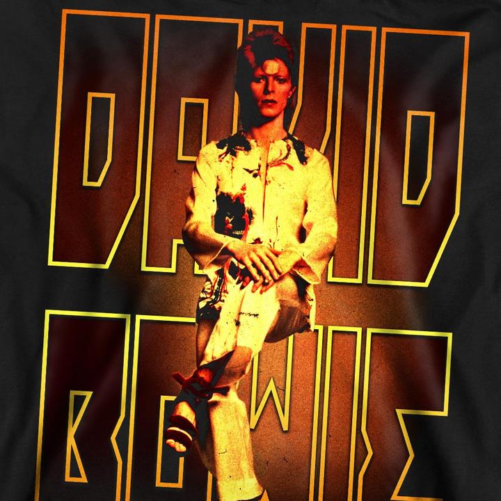 Produktbild David Bowie Perched Sweatshirt (S)