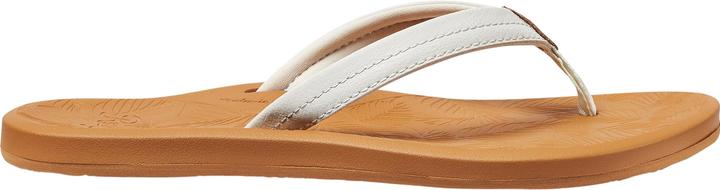 Actual product image Reef Tides (37.5)
