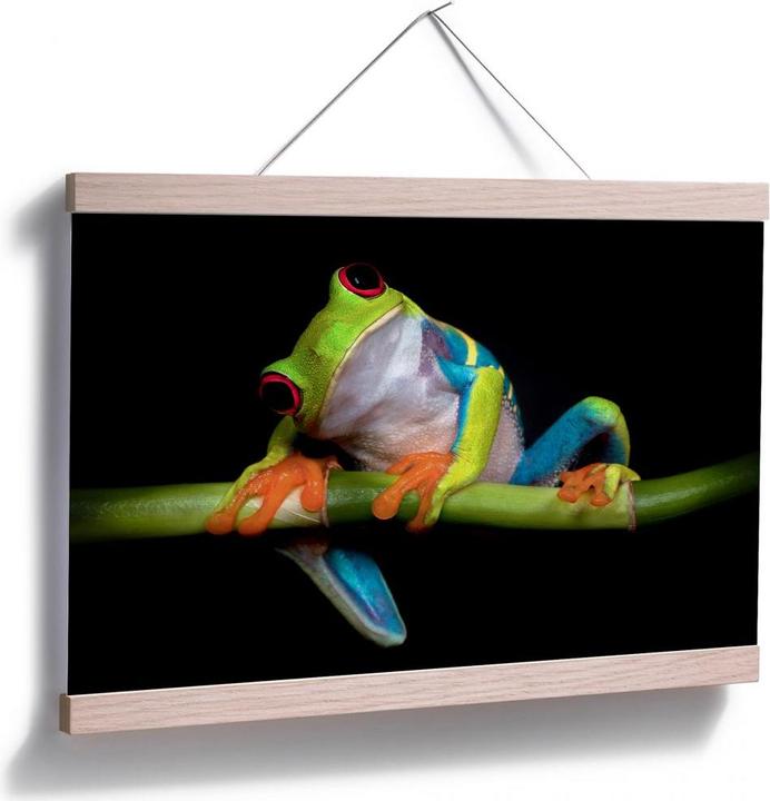 Produktbild Trenddeko Valverde - Green Frog (120 x 80 cm)