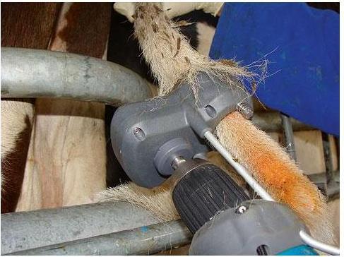 Image du produit Magni Kerbl Tail Trimmer Tailwell II
