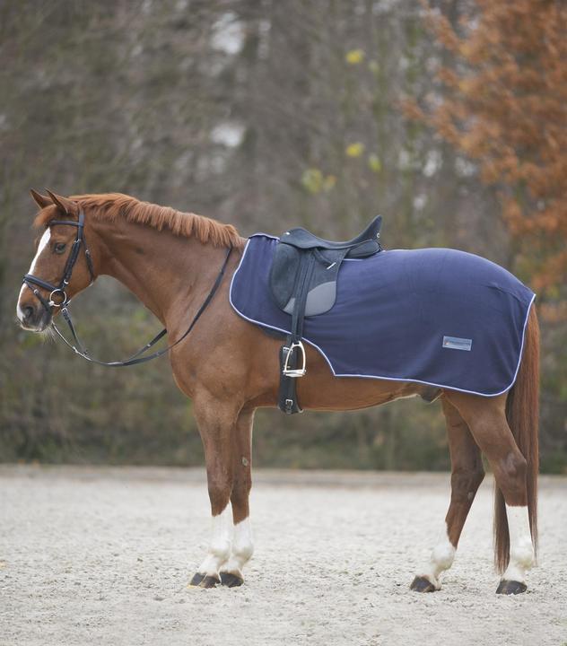 Waldhausen Couvre-reins en polaire Economic