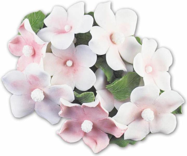 Produktbild Städter Rosen & Blüten ø 30 / 35 / 45 / 50 mm Weiss