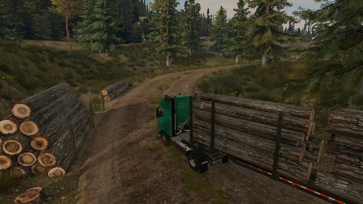 Immagine prodotto Truck Driver Standard Nintendo Switch (Switch)