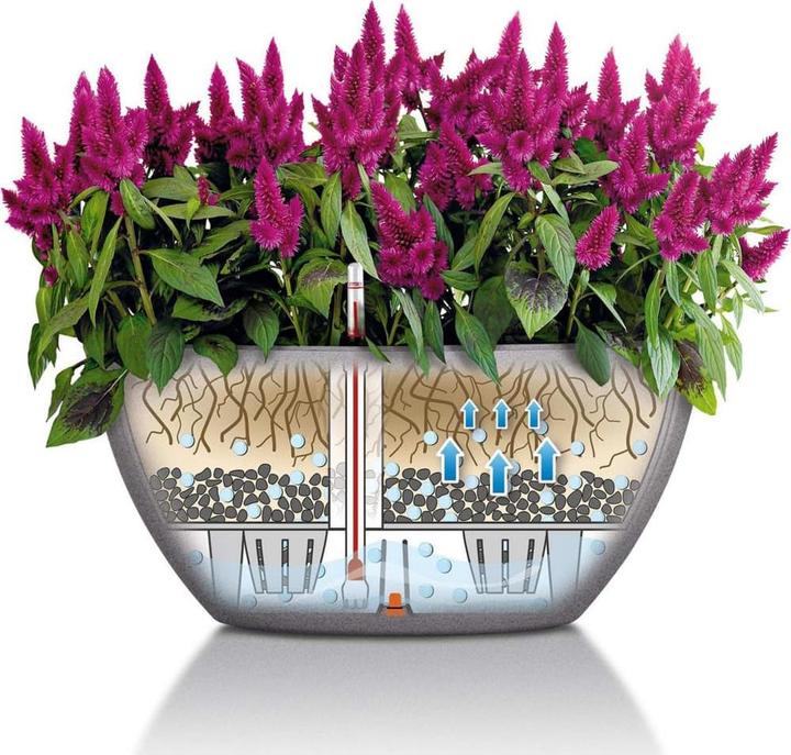 Produktbild Lechuza Cubeto 40 (40 cm)