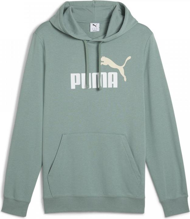 Actual product image Puma ESS 2 COLOR No. 1 Logo Hoodie TR (L)