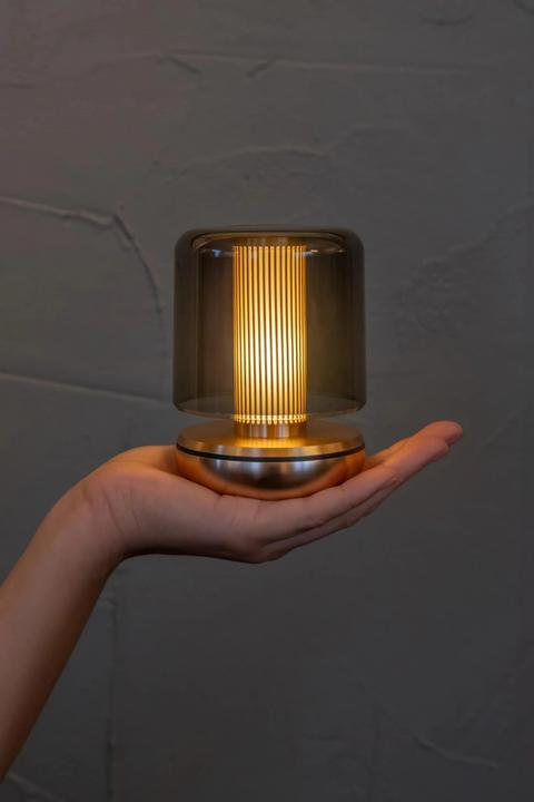 Immagine prodotto Humble Firefly