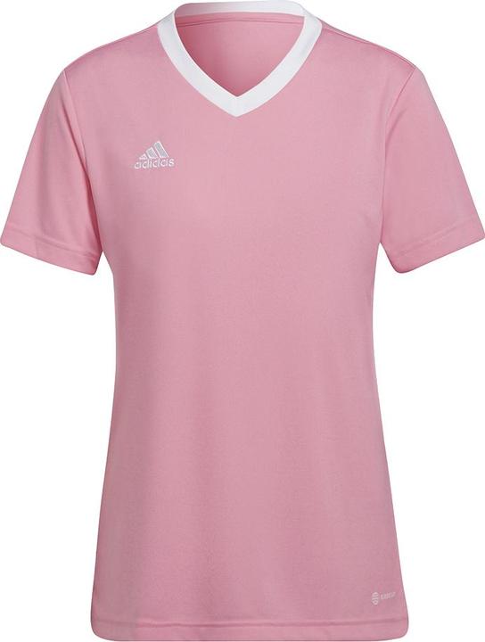 adidas Entrada 22 Fussballtrikot Damen (S)