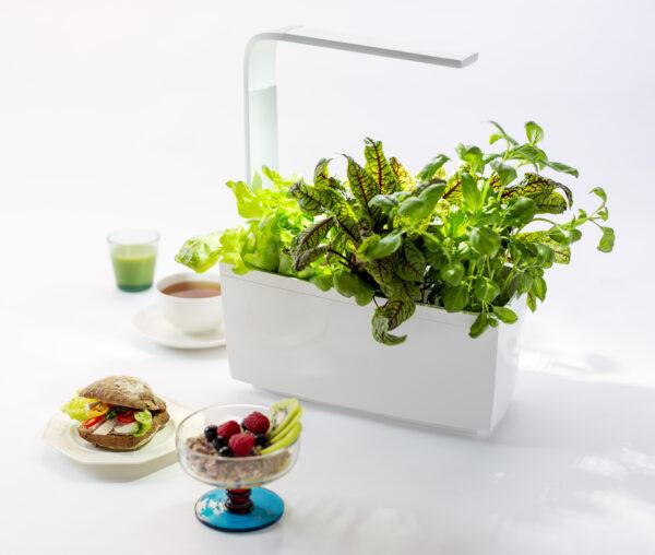 Image du produit Tregren Pot d'herbes T6 (34.50 cm)