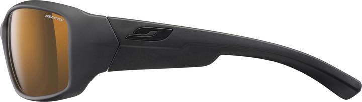 Actual product image Julbo camel ion