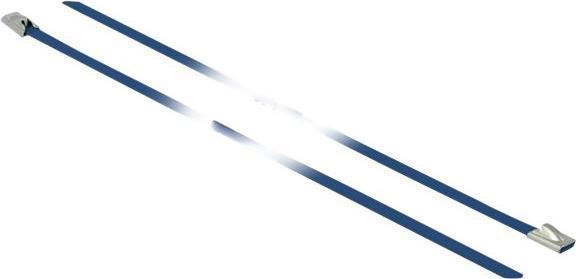 Actual product image Delock Stainless steel cable tie 500x4,6 10pcs. (Metal cable ties, 500 mm, 10 pcs.)