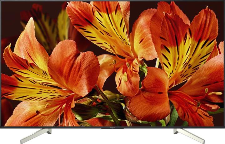 Immagine prodotto Sony Kd-49xf8505 (49", LCD, 4K, 2018)