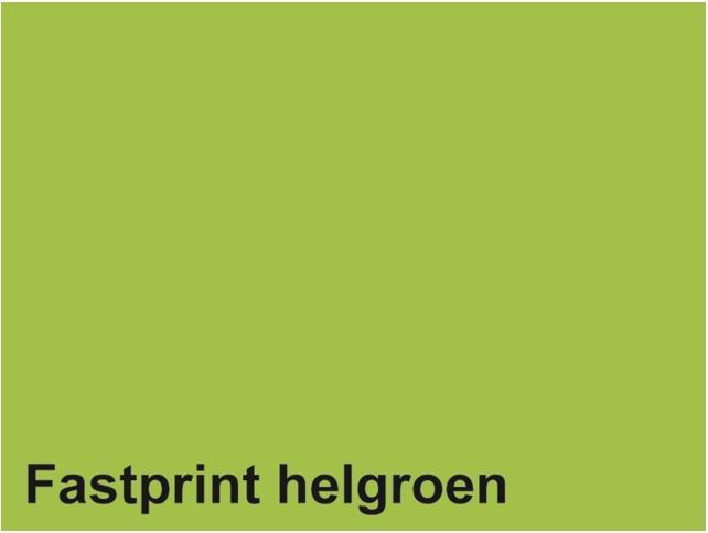 Quantore Kopierpapier Fastprint A4 80gr hellgrün 100 Blatt (80 g/m², 100 x, A4)