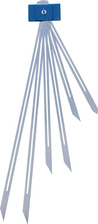 Hedue Treppenspinne