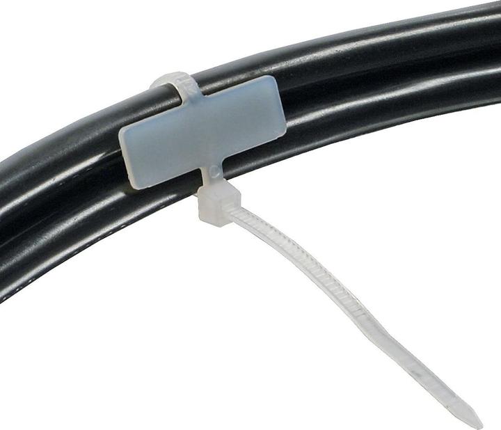 Immagine prodotto InLine Fascetta con area di etichettatura (Fascette in plastica, 100 mm, 100 pz.)