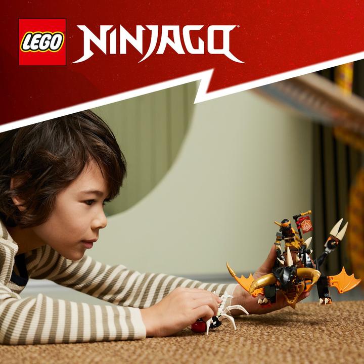 Produktbild LEGO Coles Erddrache EVO (71782, LEGO Ninjago)