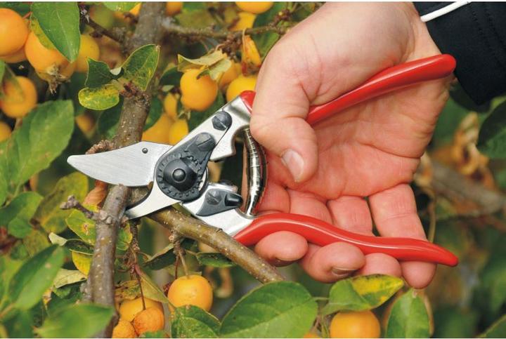 Produktbild Felco Gartenschere 6