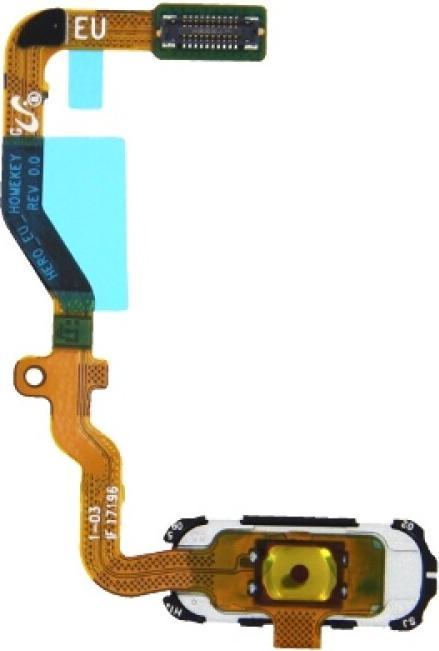 Actual product image Samsung Galaxy S7 G930F Home Button + Flex white (Galaxy S7)