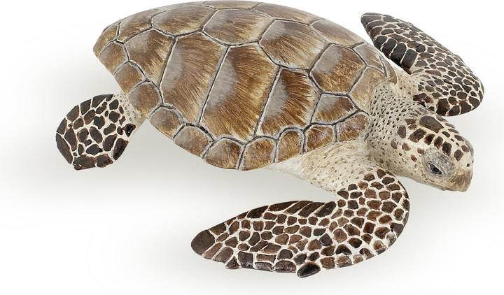 Image du produit Papo tortue de mer