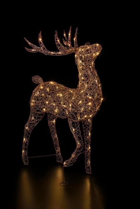 Actual product image STT Finn Reindeer