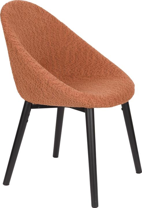 Actual product image Dutchbone Fenna Chair Terra